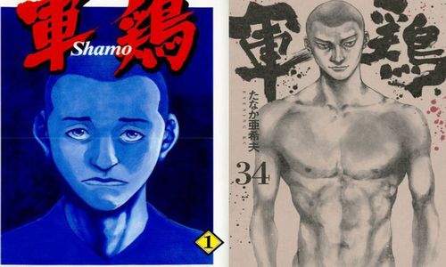 軍鶏 シャモ 漫画ネタバレ感想 面白かったけど最終回があっけなかった ハラスイズム 軍鶏 シャモ 漫画ネタバレ感想 面白かったけど最終回があっけなかった ハラスイズム